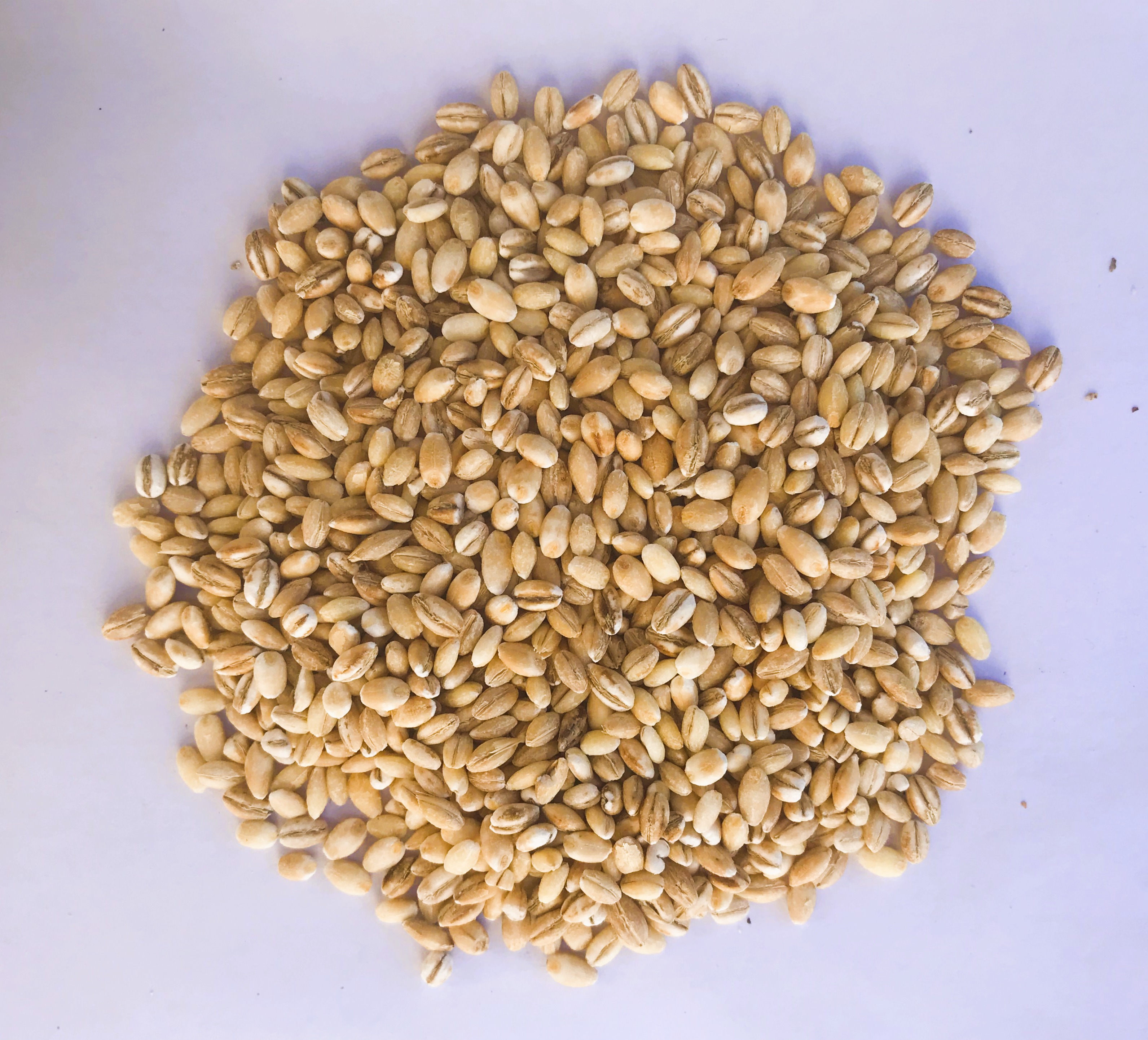 Pearled Barley