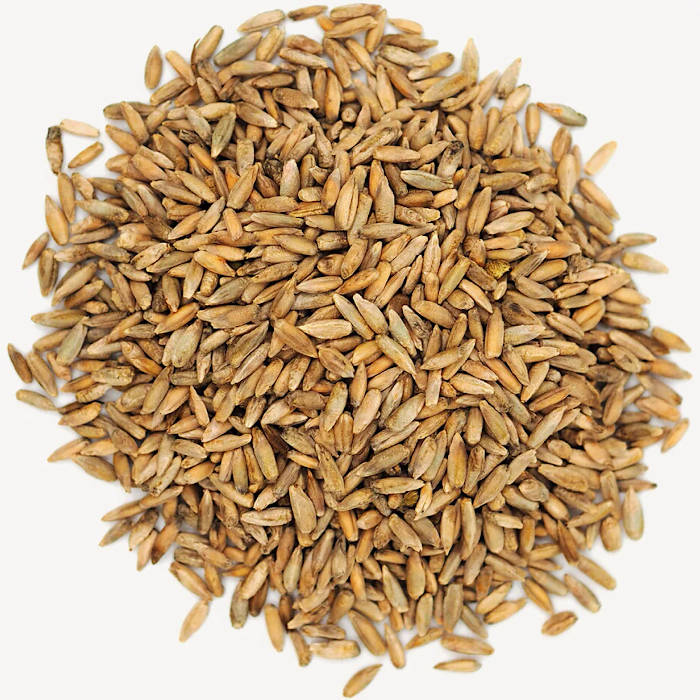 Rye Grain