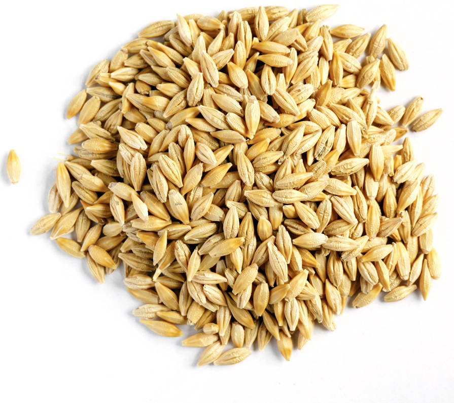 Whole Barley