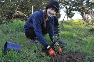 Planting native trees
