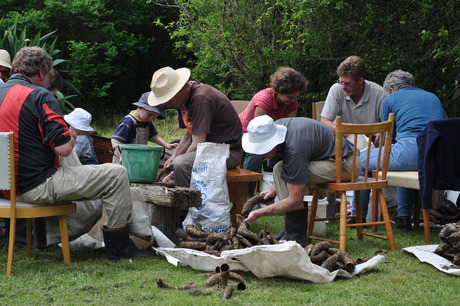 Field days and farm visits