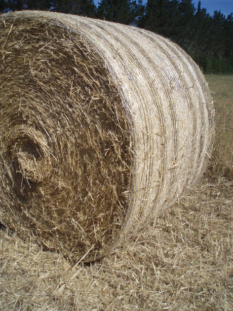 roundBale