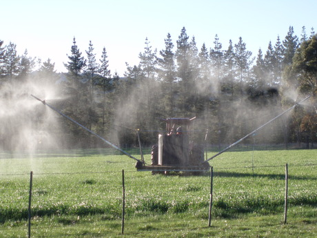 applying Biodynamic sprays